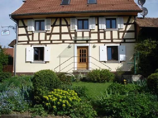Chat au Grumbach