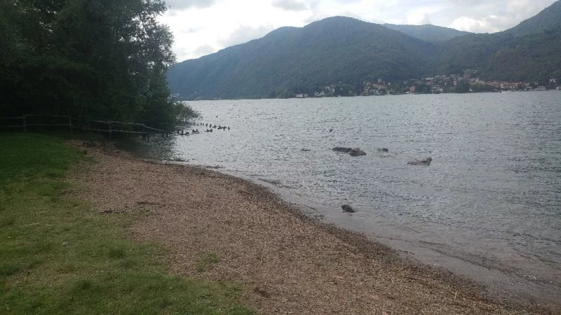 Parco Figino