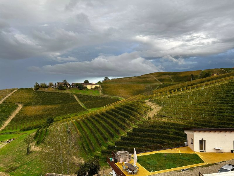 La Cascina // Valfaccenda