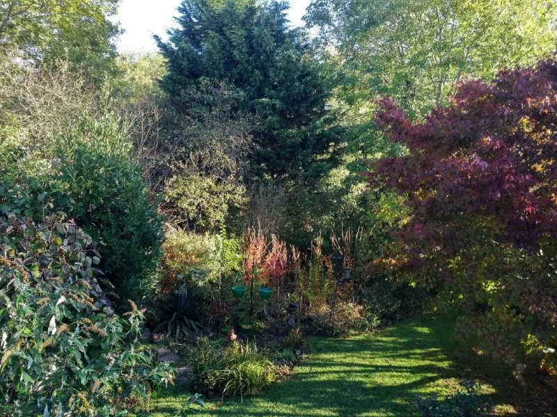Wychwood B&B
