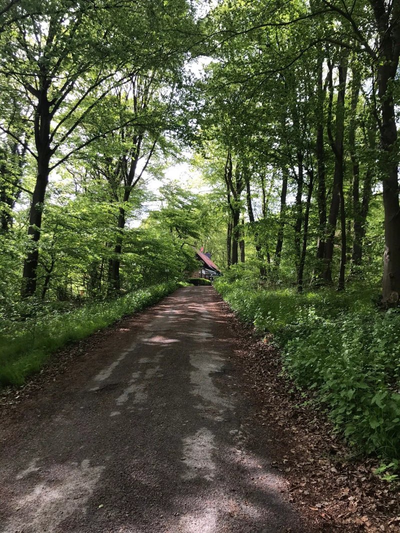 Hildesheimer Aussichtsturm Waldgaststatte