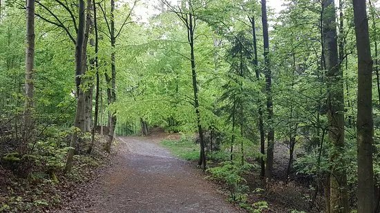 Schwedenlocher