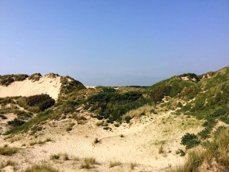 Charm and tranquility in the face of golf