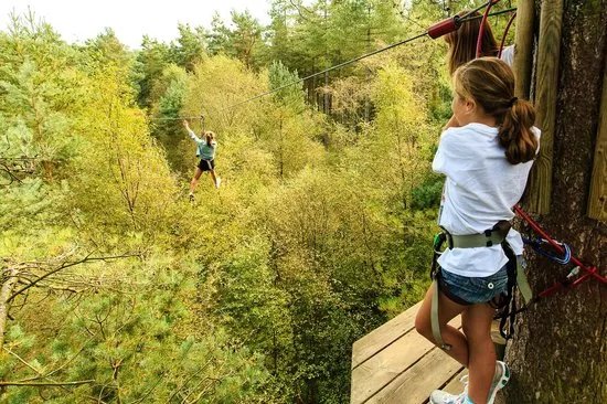 Go Ape Buxton