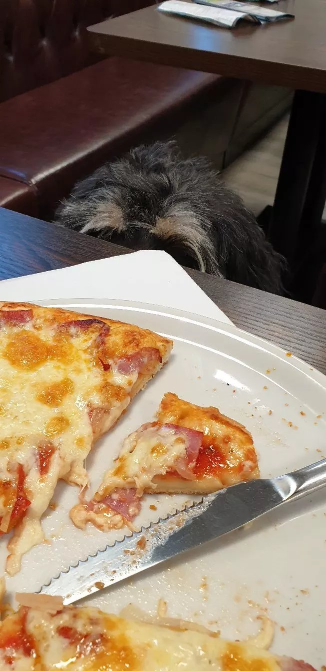 Pizza Haus