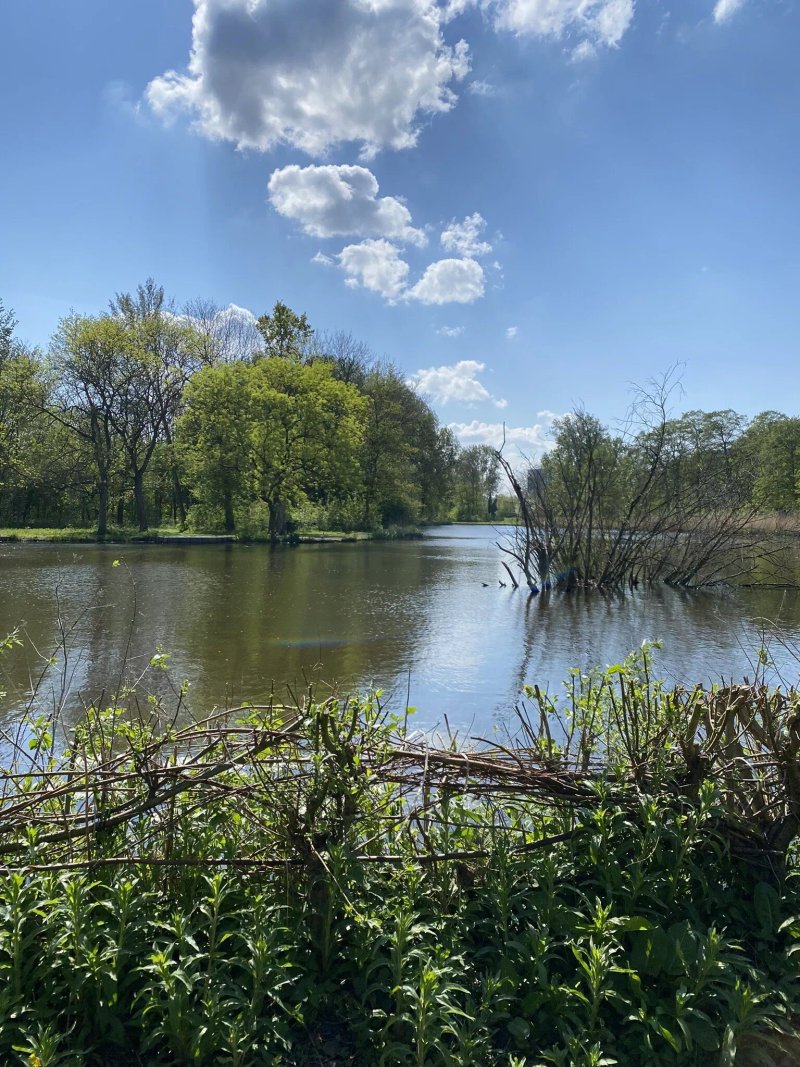 Beatrixpark