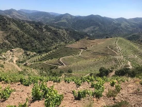 Travel & Wine