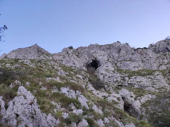 Otlica Natural Window
