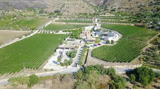 Tenuta Palmeri