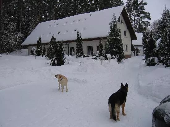 Hotel Haus Waldesruh