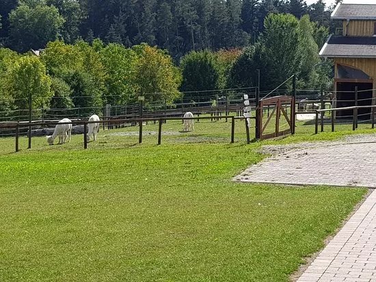 Freizeitpark Rotfelden