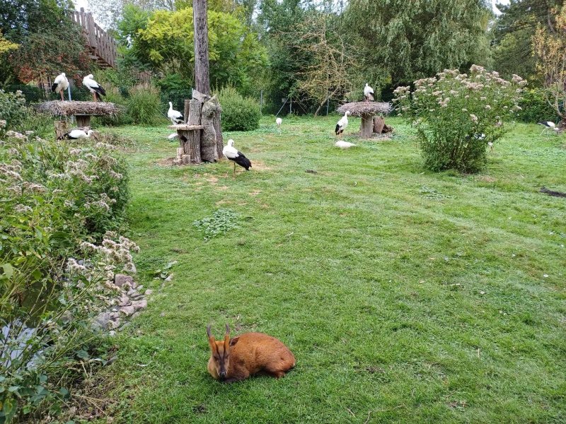 Tierpark Cafe