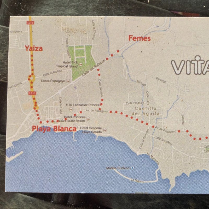 Vitalidad