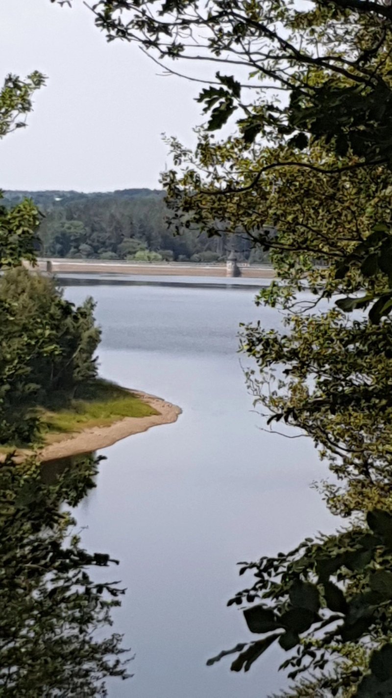 Struffeltroute