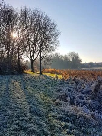 Cuckoos Hollow