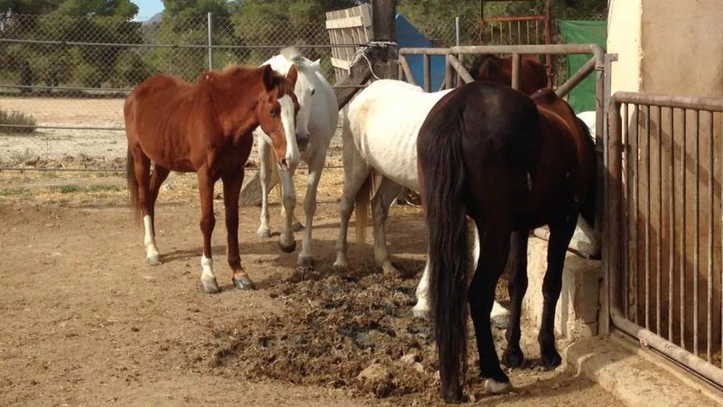 Finca La Constancia