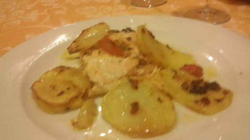 L'Olmo