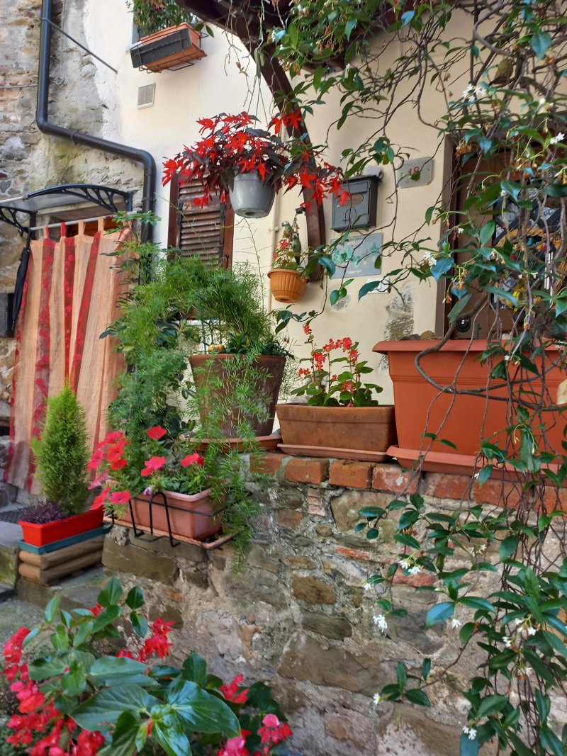 Centro Storico Di Caprigliola