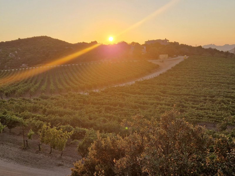 Tenuta Matteu  Nuraxi