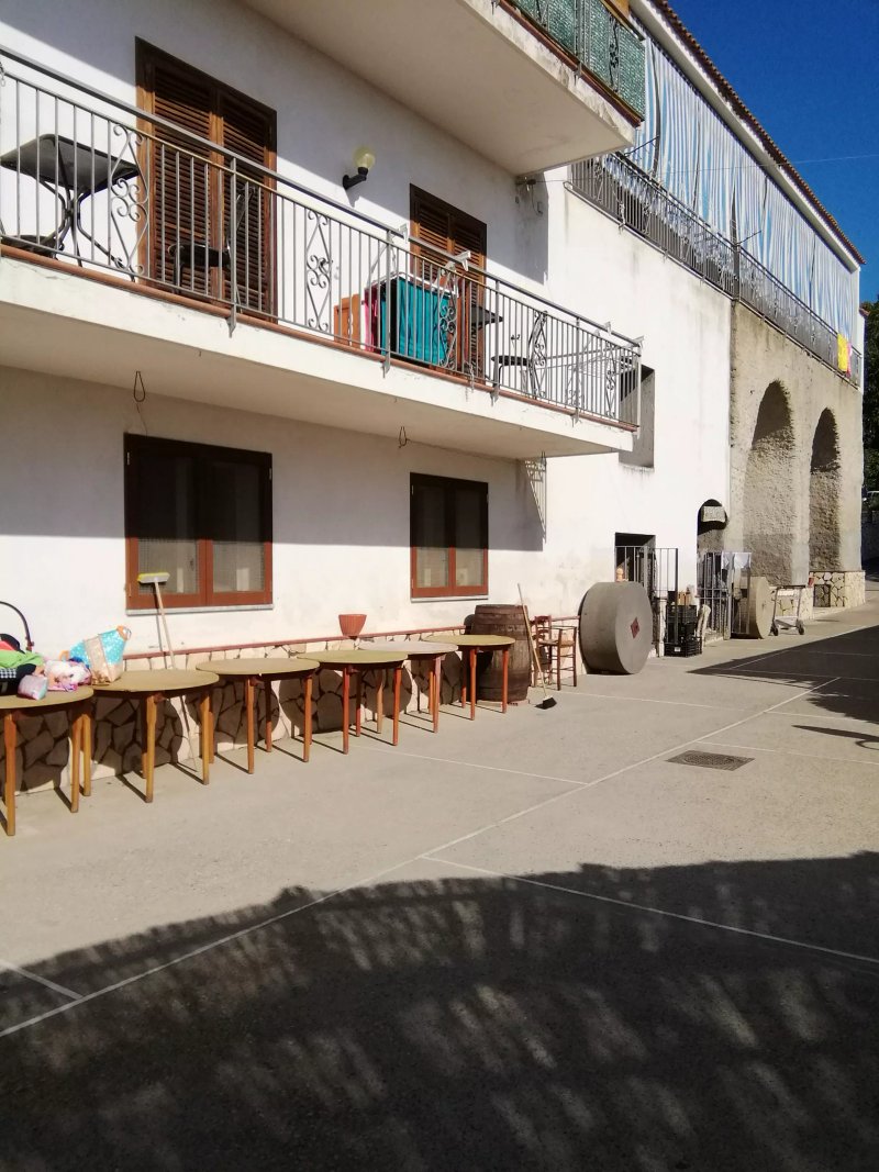Agriturismo Castanito