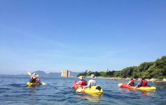 Kayak Evasion