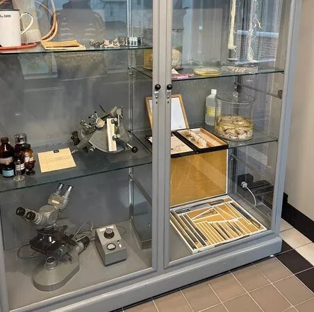 Museum Psychiatrie Venray