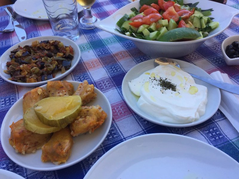 Erson Hocanin Organik Ciftligi