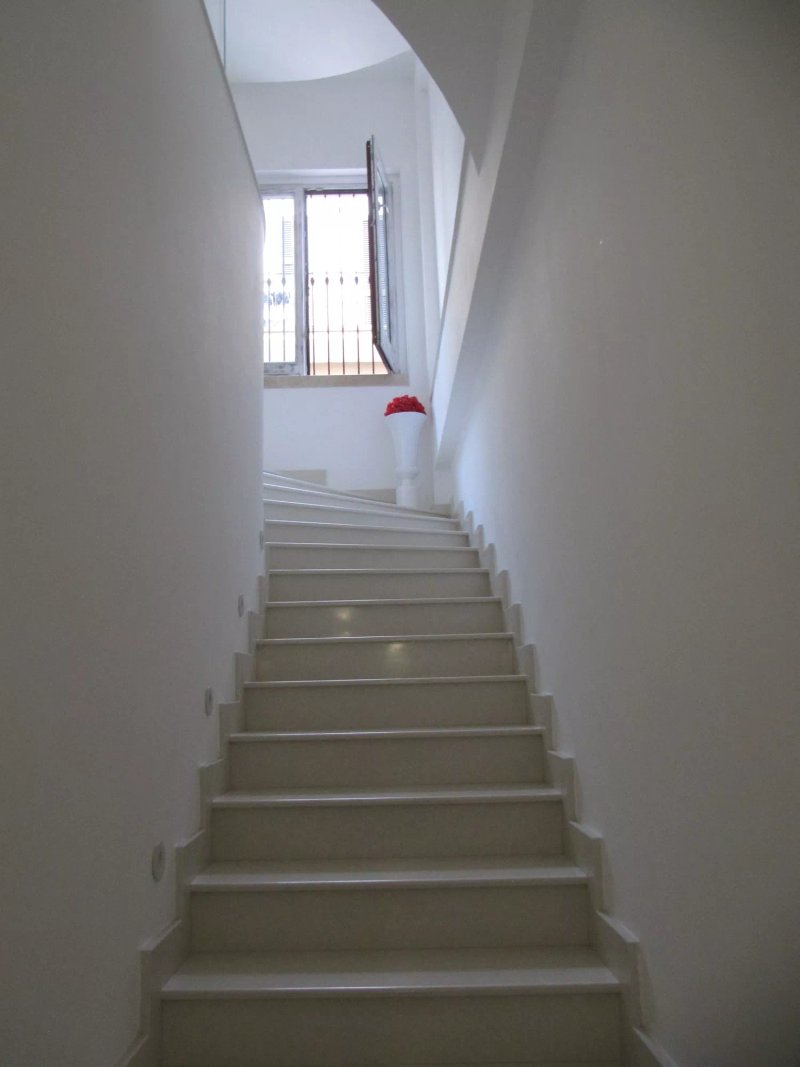 B&B Belvedere