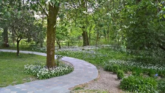 Wordsworth Daffodil Garden