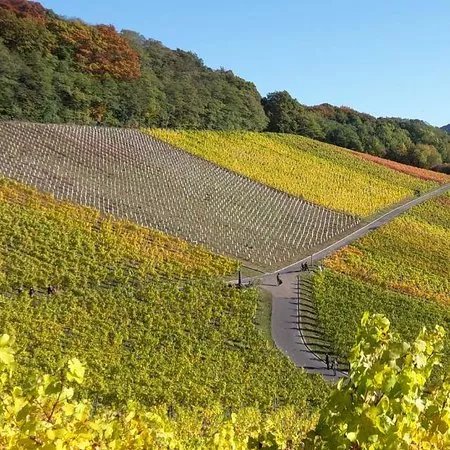 Weingut Bloser
