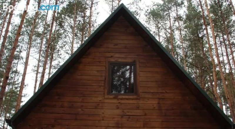 Domki Nad Zalewem Janowskim