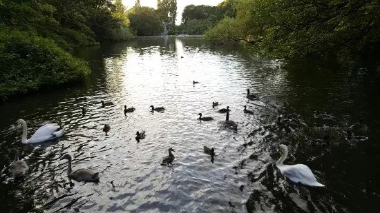 Radwell Lake