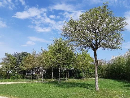 Parc de la Guerinais
