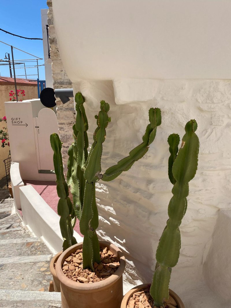 Hermoupoli