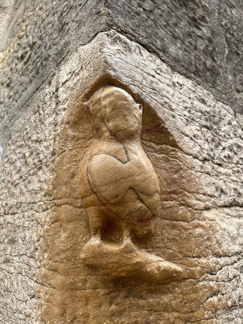 The Owl of Dijon