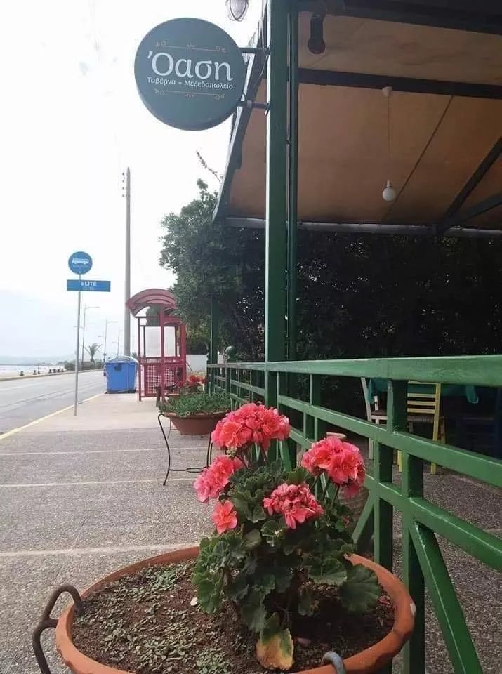 Oasi
