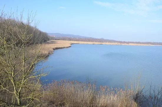 Europaisches Vogelreservat Heerter See