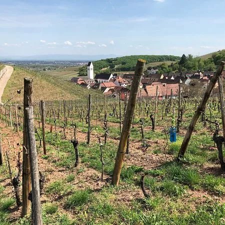 Chateau du Wineck
