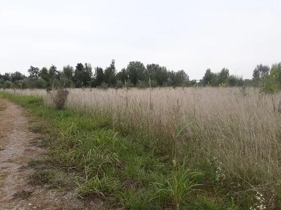 Oasi Naturalistica della Martesana