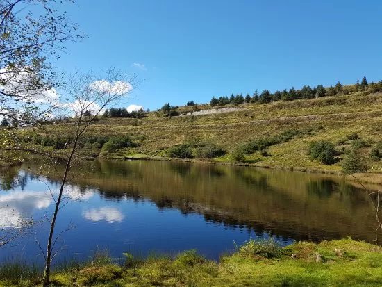 Bwlch Nant yr Arian Forest Visitor Centre