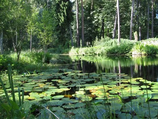 Lesne Arboretum Warmii i Mazur