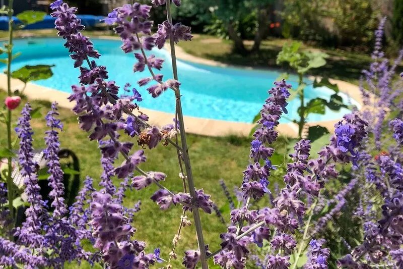 Family home with pool, 10 minutes from the old port and Ile de Ré