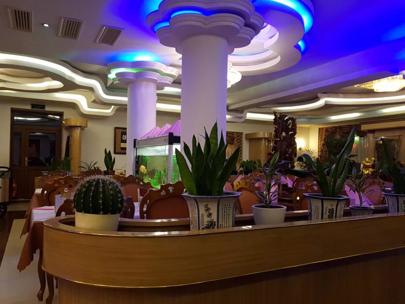 Chop Suey - Wok & Grill Restaurant