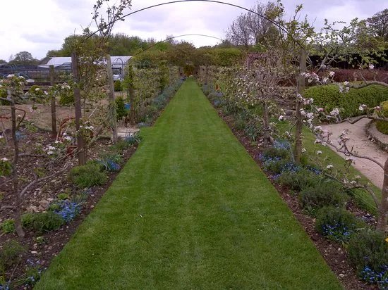 Bridewell Organic Gardens