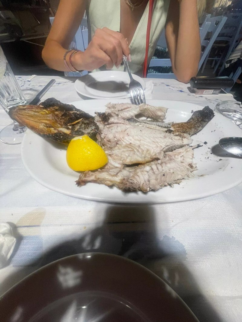 Neo Kastro