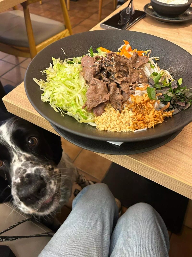 Viet Thai restaurace