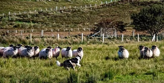 Glen Keen Farm