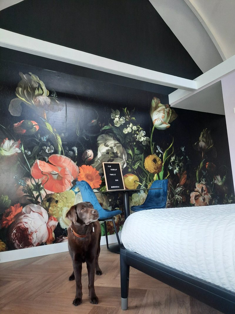 B&b Oud Aa