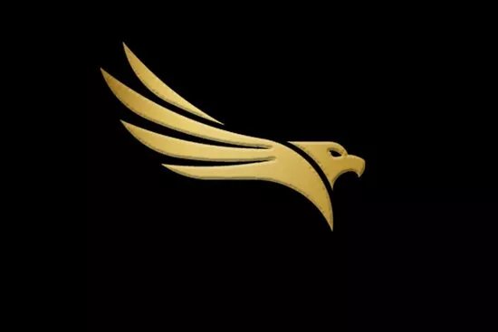 Brighton Eagle Chauffeur ltd