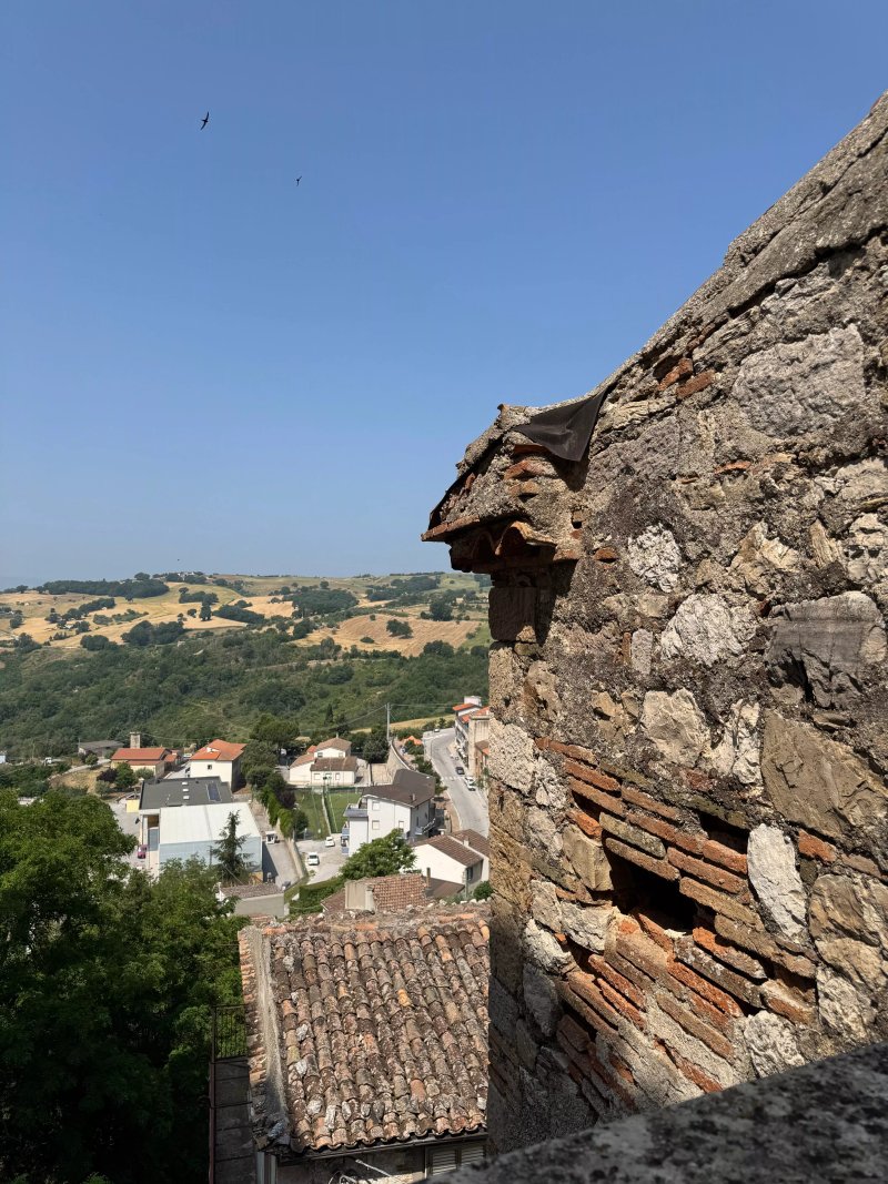 Coste del lago
